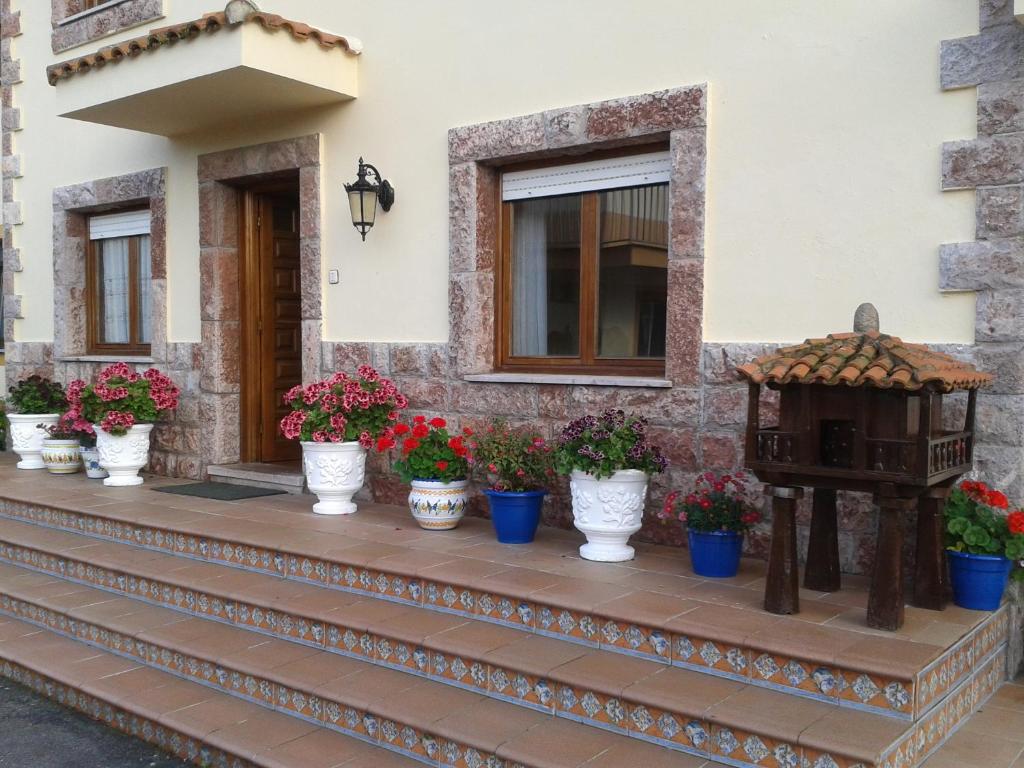 Hotel Alonso